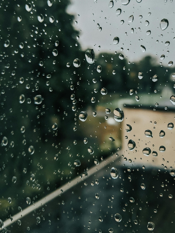 Mưa, hạt mưa, giọt nước, rain, raindrops, water drops - Dmitry Plain