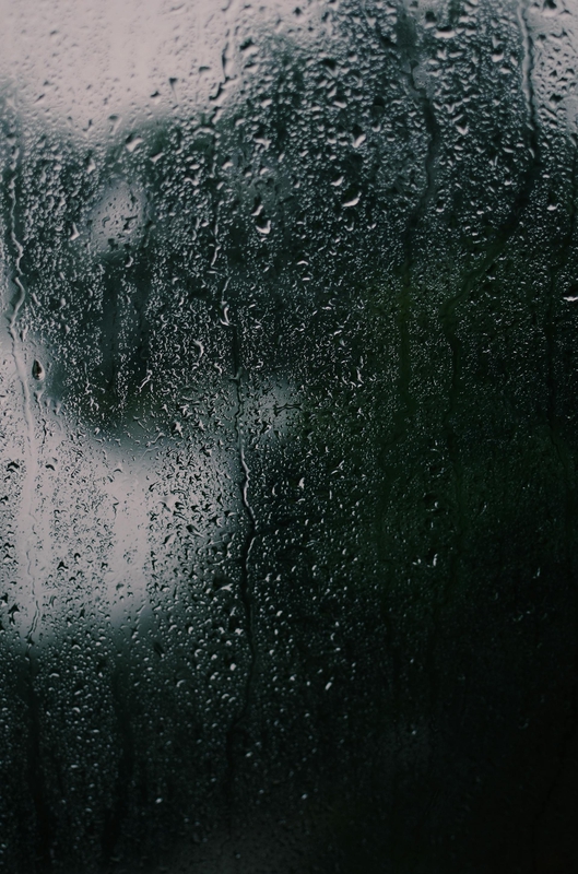 Mưa, hạt mưa, giọt nước, rain, raindrops, water drops - Dmitry Plain