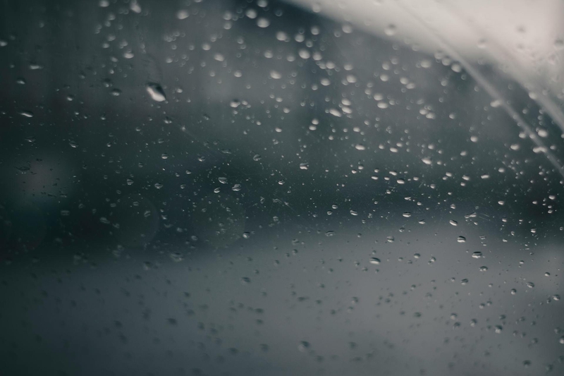 Mưa, hạt mưa, giọt nước, rain, raindrops, water drops - Иван Васючков