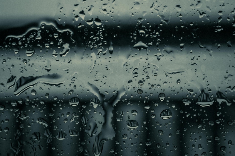 , mưa, hạt mưa, giọt nước, rain, raindrops, water drops - 4