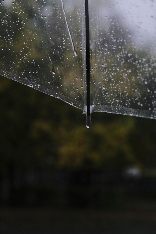 Dù, mưa, hạt mưa, giọt nước, rain, raindrops, water drops - Khadijah Karaca
