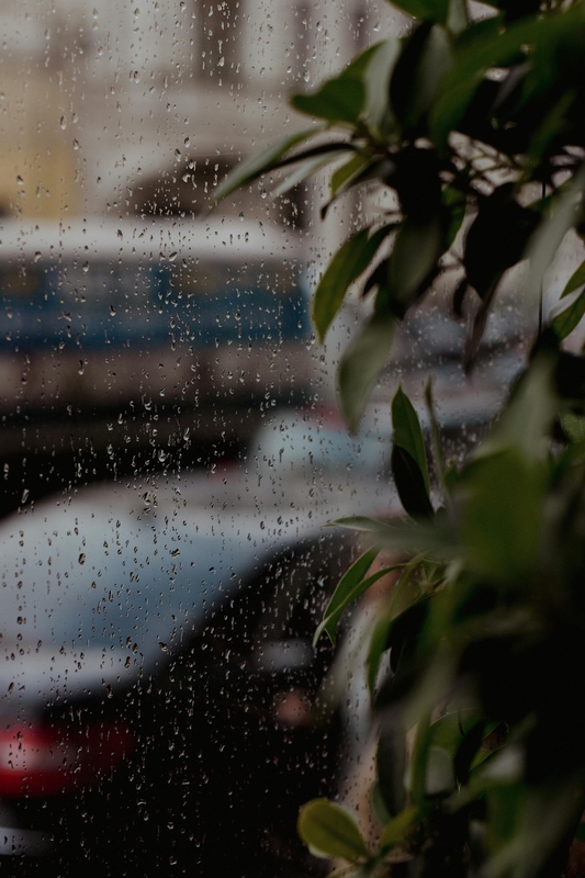 Lá, mưa, hạt mưa, giọt nước, rain, raindrops, water drops - Liana Tril'
