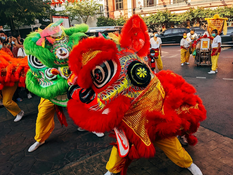 Lân, múa lân,  lion dance, tết, xuân, spring- Markus Winkler
