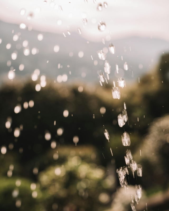Mưa, hạt mưa, giọt nước, rain, raindrops, water drops - Mikita Yo