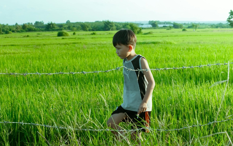 Bé trai, trẻ em, tuổi thơ, đồng ruộng, boy, child, childhood, field- C.T. PHAT 5