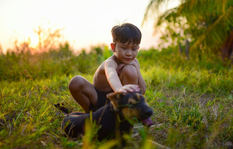 Bé trai, trẻ em, tuổi thơ, đồng ruộng, boy, child, childhood, field- C.T. PHAT 8
