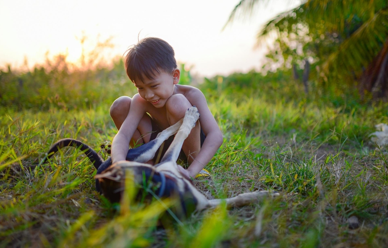 Bé trai, trẻ em, tuổi thơ, đồng ruộng, boy, child, childhood, field- C.T. PHAT 9