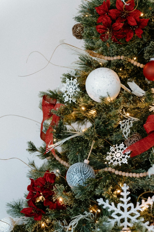 Trang trí, cây thông, giáng sinh, pine, decor, christmas, merry christmas, xmas -  Jhovani Morales 4