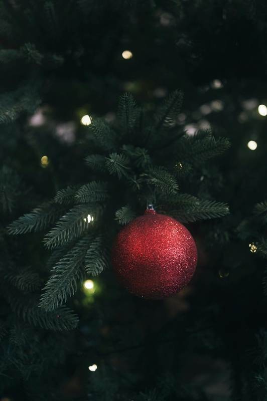 Giáng sinh, cây thông, trang trí, christmas, pine tree, decoration, noel- Dũng phạm