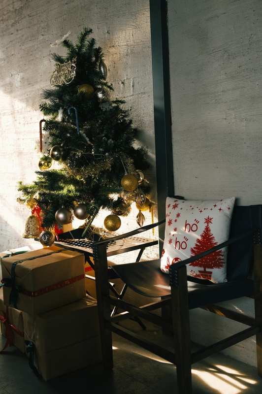Giáng sinh, cây thông, trang trí, christmas, pine tree, decoration, noel- Dũng phạm 1