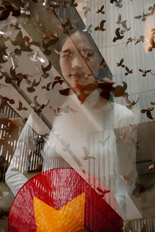Áo dài, cô gái, nón lá, Việt Nam, ao dai, girl, conical hat- HONG SON 1