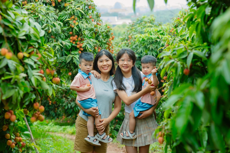 Trẻ em, vườn vải, nông dân, childrens, lychee garden, woman, farmer - HONG SON
