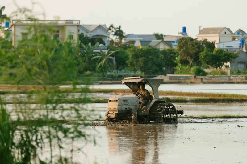 Nông dân, farmer, farm, cấy lúa, trồng lúa, nông thôn, miền quê, Việt Nam - HONG SON 13