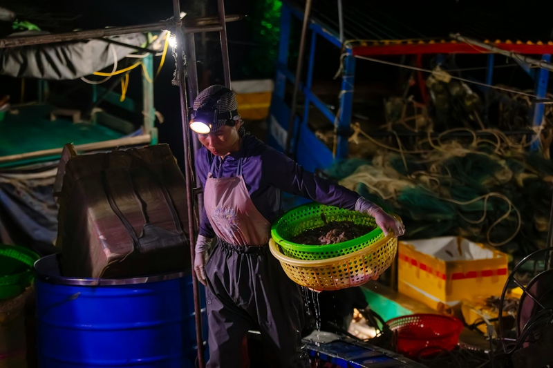 Ngư dân, làng cá, bán cá, fishermen, fishing village, selling fish- HONG SON 1