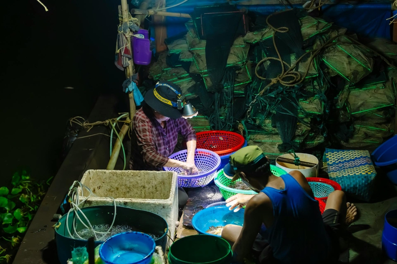 Ngư dân, làng cá, bán cá, fishermen, fishing village, selling fish- HONG SON 3