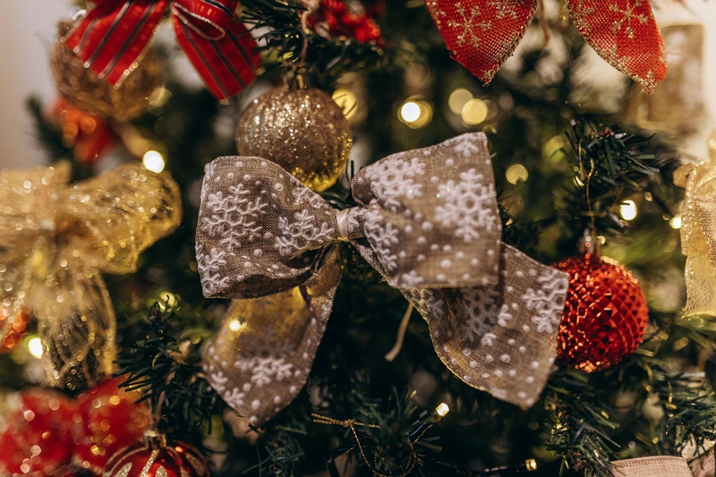 Trang trí, cây thông, giáng sinh, pine, decor, christmas, merry christmas, xmas -  Jonathan Borba 1