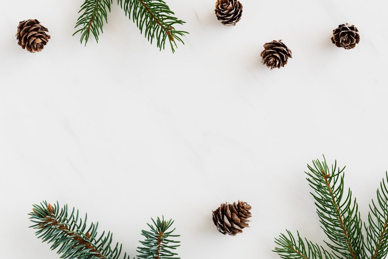 Giáng sinh, cây thông, quả thông, trang trí, christmas, pine tree, pine cones, decoration -  Karola G