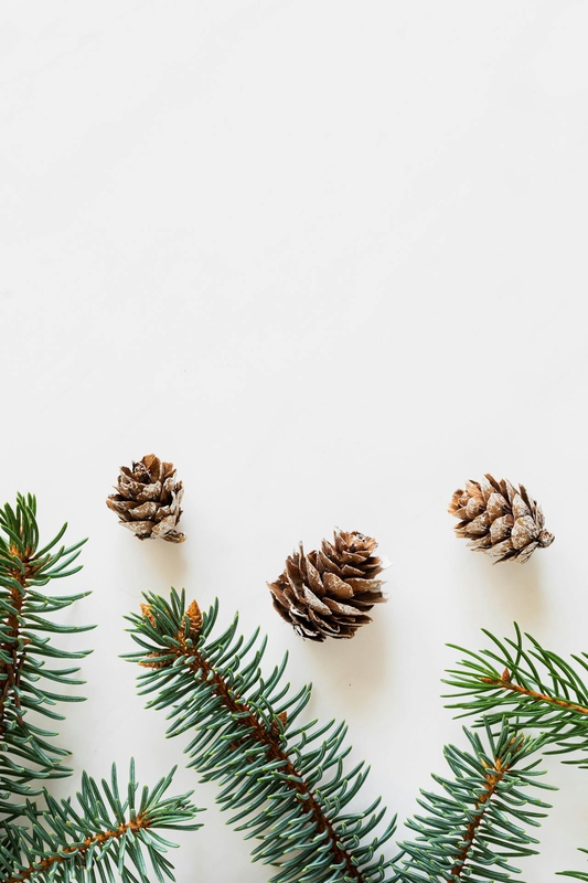 Giáng sinh, cây thông, quả thông, trang trí, christmas, pine tree, pine cones, decoration -  Karola G 1
