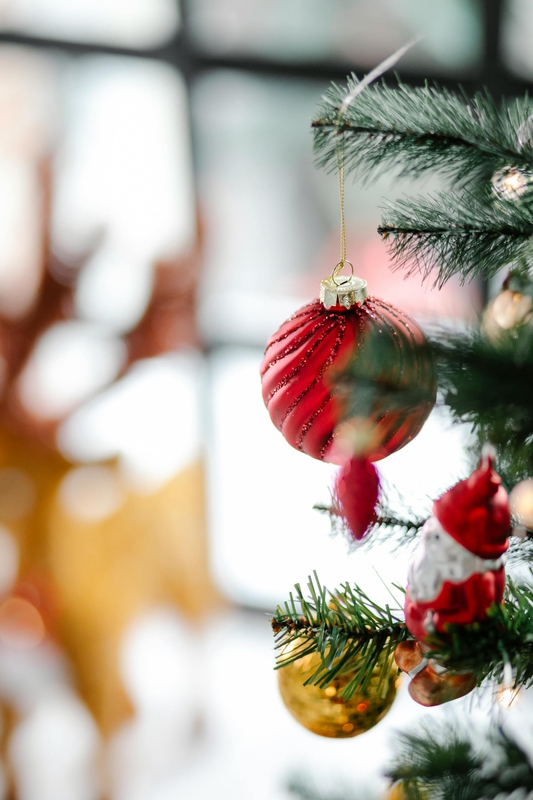 Giáng sinh, trang trí, cây thông, pine tree, decor, noel, christmas- Laura James 2