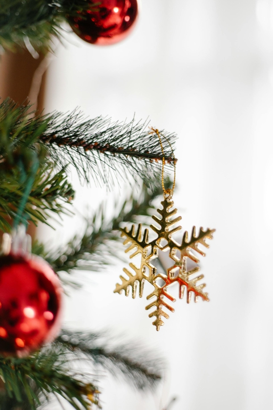 Giáng sinh, trang trí, cây thông, pine tree, decor, noel, christmas- Laura James 18