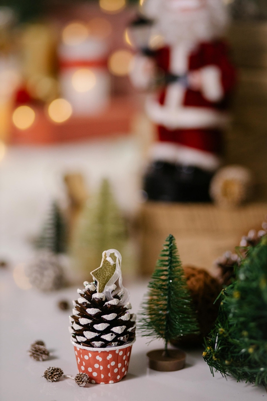 Giáng sinh, trang trí, cây thông, pine tree, decor, noel, christmas- Laura James 20