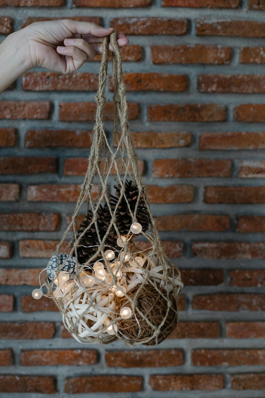 Đèn, giáng sinh, trang trí, cây thông, pine tree, decor, noel, christmas- Laura James 5