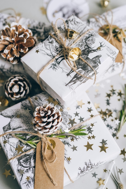 Giáng sinh, quà tặng, hộp quà, gift box, gift, cây thông, pine, xmas, noel, christmas, merry christmas - Leeloo The First 1