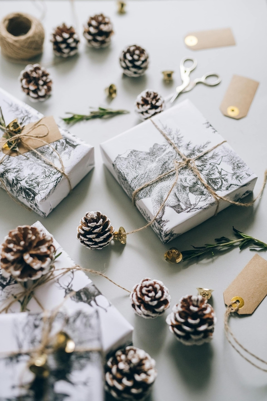 Giáng sinh, quà tặng, hộp quà, gift box, gift, cây thông, pine, xmas, noel, christmas, merry christmas - Leeloo The First 4