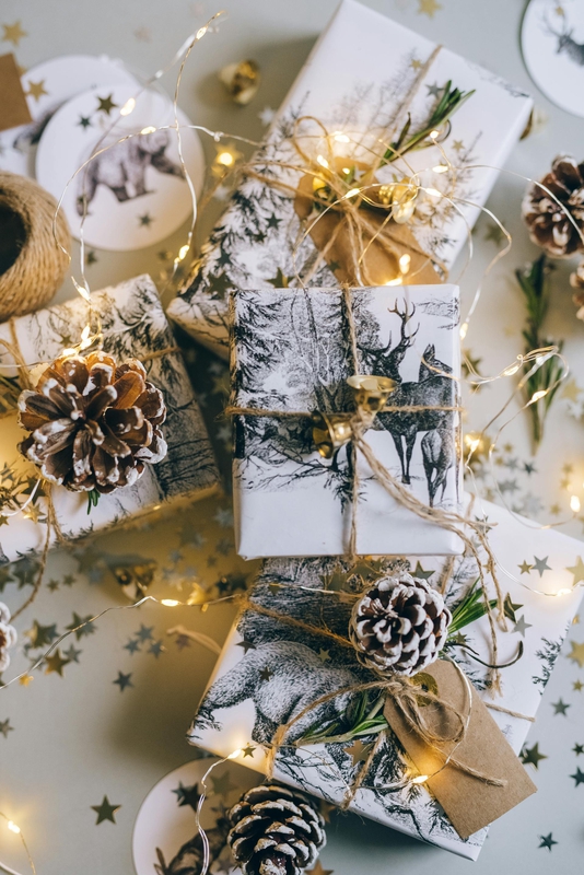 Giáng sinh, quà tặng, hộp quà, gift box, gift, cây thông, pine, xmas, noel, christmas, merry christmas - Leeloo The First 2