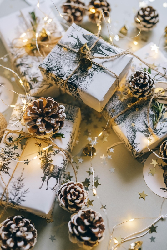 Giáng sinh, quà tặng, hộp quà, gift box, gift, cây thông, pine, xmas, noel, christmas, merry christmas - Leeloo The First 5