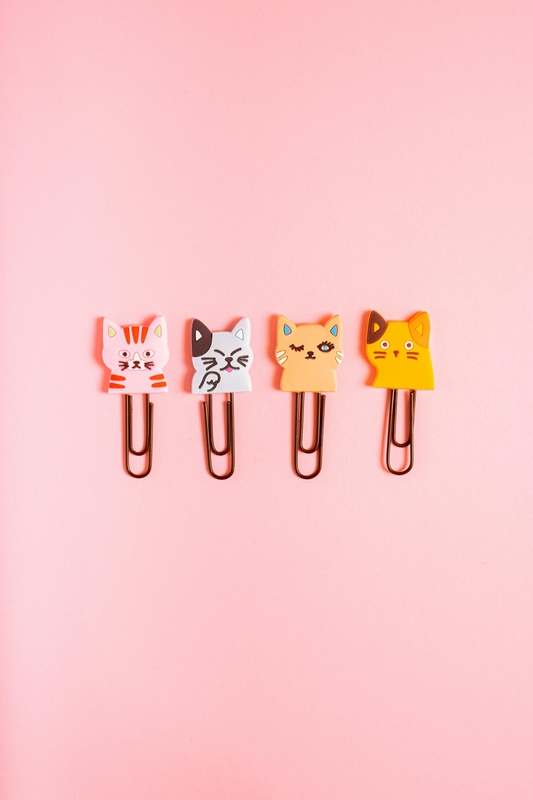 Kẹp giấy, ghim, pin, đồ dùng học tập, trường, school supplies, school- Antoni Shkraba Studio