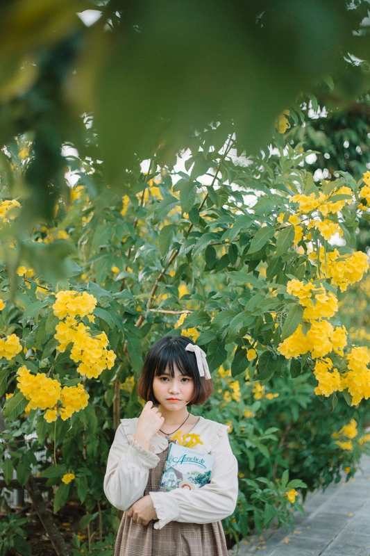 Con gái, girl, hoa, flower, ngoại cảnh, Việt Nam - Huy Nguyễn 6