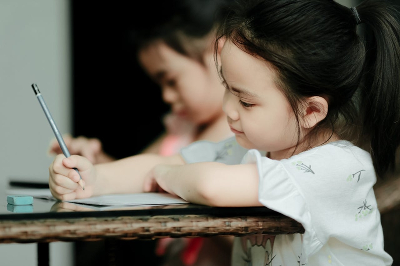 Bé gái, viết bài, học tập, giáo dục, girl, writing, studying, education - Sunvani Hoàng 1