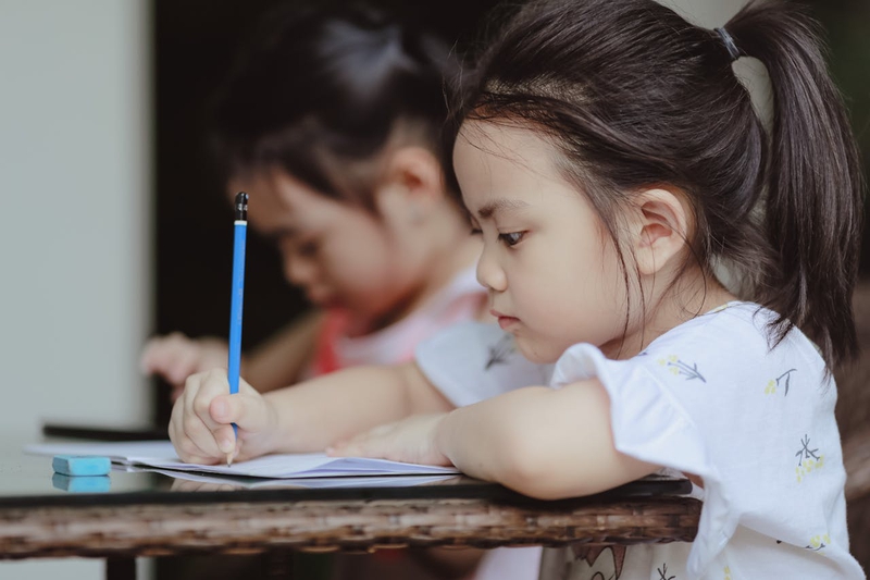 Bé gái, viết bài, học tập, giáo dục, girl, writing, studying, education - Sunvani Hoàng 3