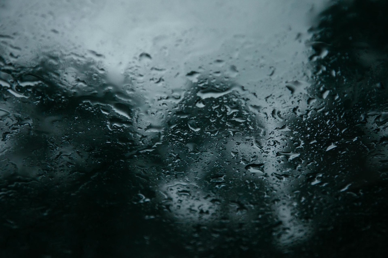 Mưa, hạt mưa, giọt nước, rain, raindrops, water drops - ROMAN ODINTSOV