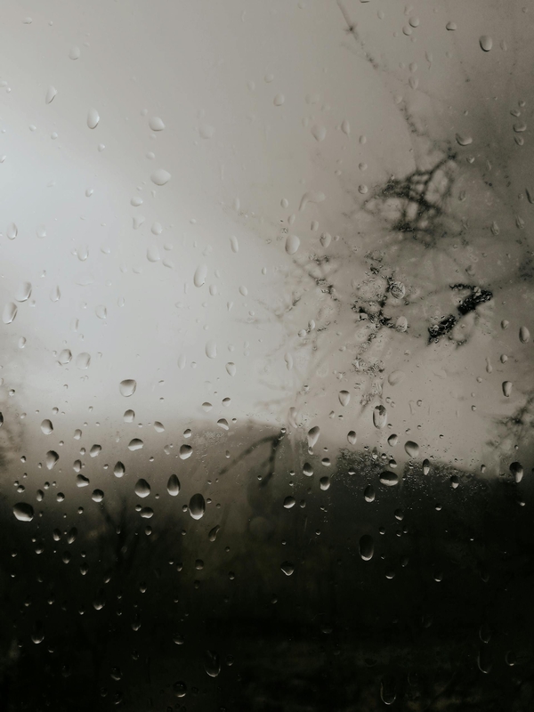 Mưa, hạt mưa, giọt nước, rain, raindrops, water drops - Rumeysa Demir
