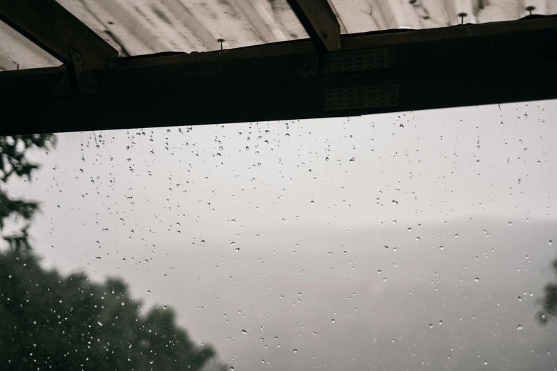 Máy nhà, mưa, hạt mưa, giọt nước, rain, raindrops, water drops - Taryn Elliott