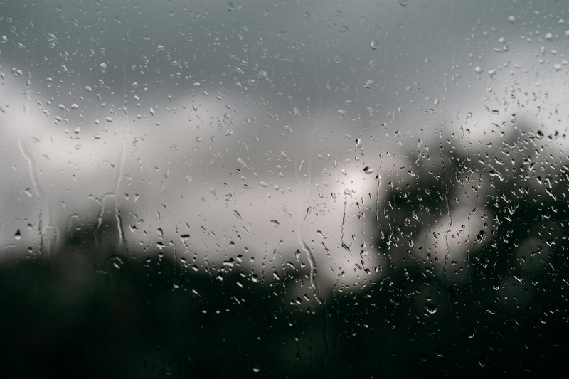 Mưa, hạt mưa, giọt nước, rain, raindrops, water drops - Taryn Elliott