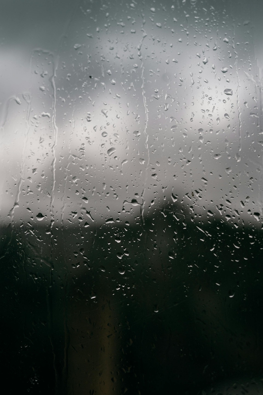 Mưa, hạt mưa, giọt nước, rain, raindrops, water drops - Taryn Elliott