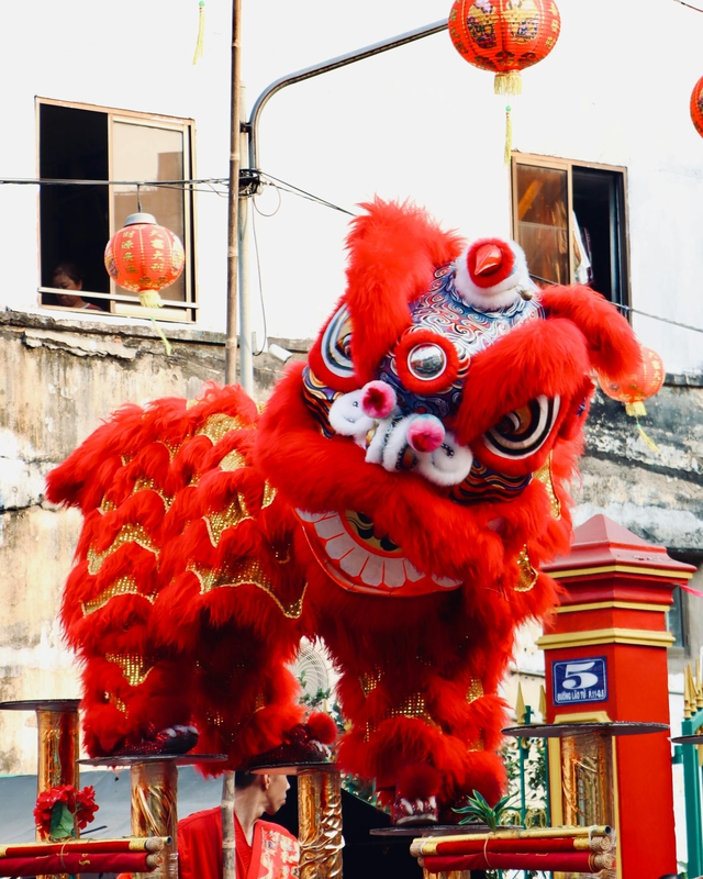 Lân, múa lân,  lion dance, tết, xuân, spring- Tuan Vy 6