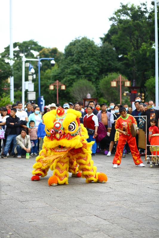Lân, múa lân,  lion dance, tết, xuân, spring- Tuan Vy 3
