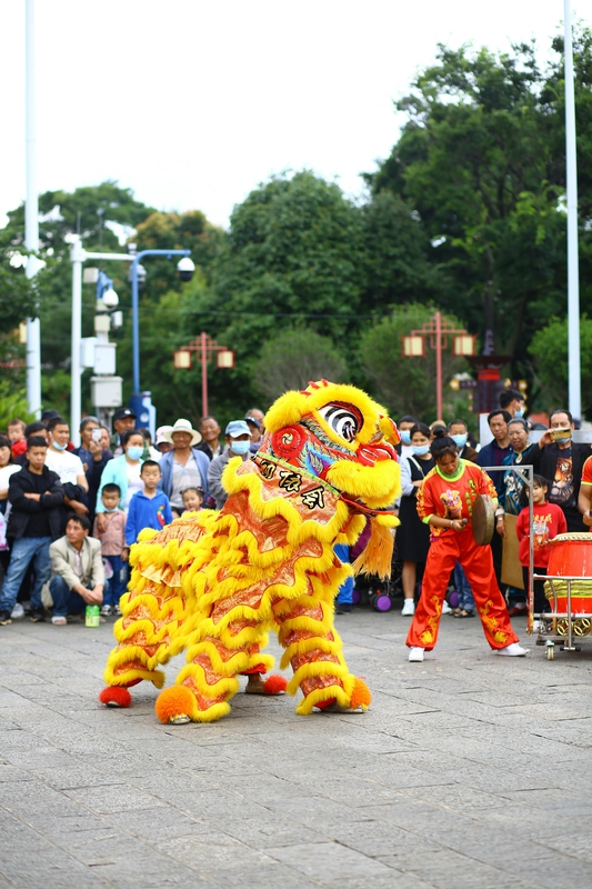 Lân, múa lân,  lion dance, tết, xuân, spring- Tuan Vy 4