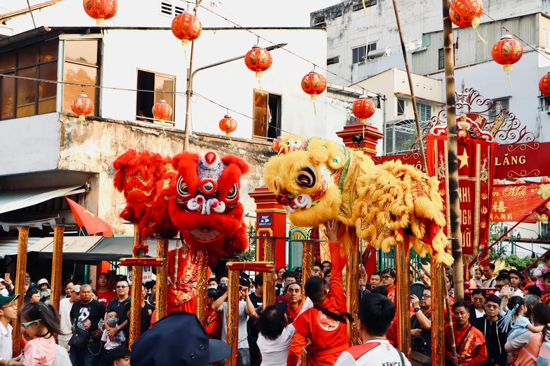 Lân, múa lân,  lion dance, tết, xuân, spring- Tuan Vy 5