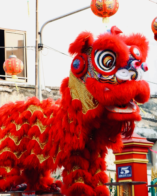 Lân, múa lân,  lion dance, tết, xuân, spring- Tuan Vy 7