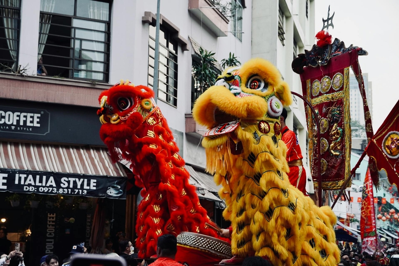 Lân, múa lân,  lion dance, tết, xuân, spring- Tuan Vy 9
