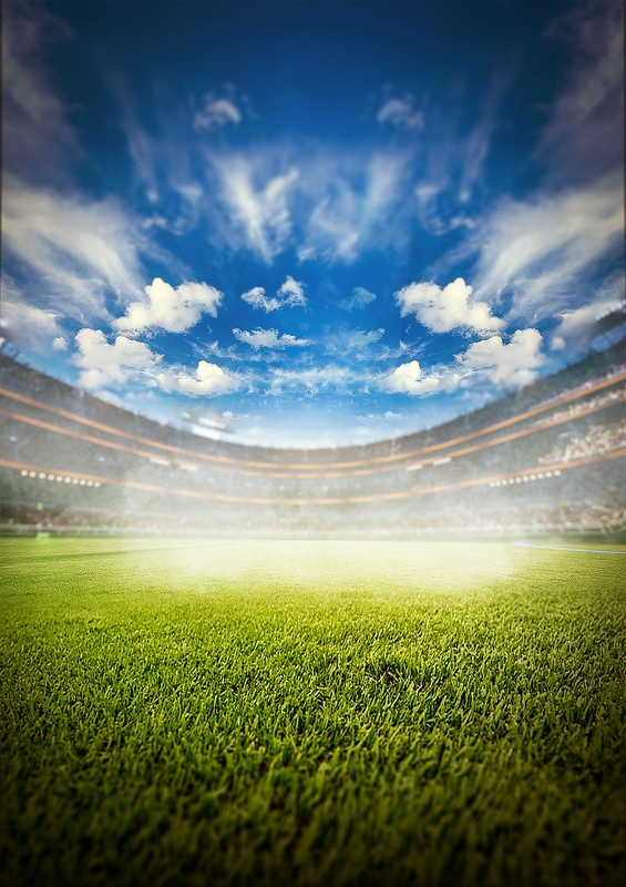 Sân cỏ, sân bóng, football, soccer, thể thao, sport, grass, stadium 7