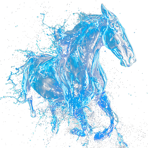 Ngựa, ánh sáng, nước, horses, light, water