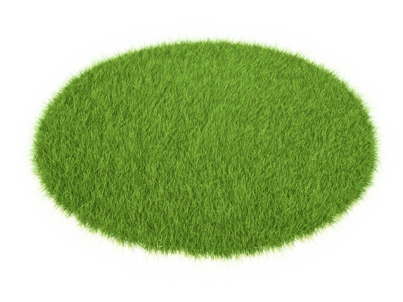 Grass, bụi cỏ, bãi cỏ, cỏ, lá cây, thiên nhiên, grass background, background