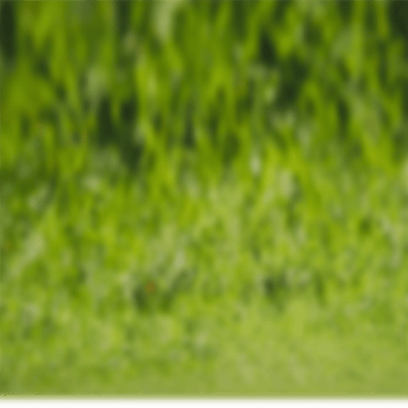 Sân cỏ, sân bóng, football, soccer, thể thao, sport, grass