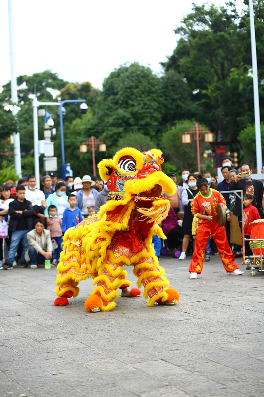Múa lân, lễ hội, festival, Tết, Tết holiday, văn hóa - HONG SON 19